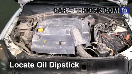 Renault Clio Engine Oil Leak