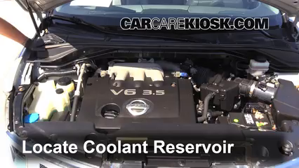 2003 Nissan Murano SE 3.5L V6 Coolant (Antifreeze) Check Coolant Level