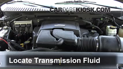 2004 Ford Expedition XLT 5.4L V8 Transmission Fluid