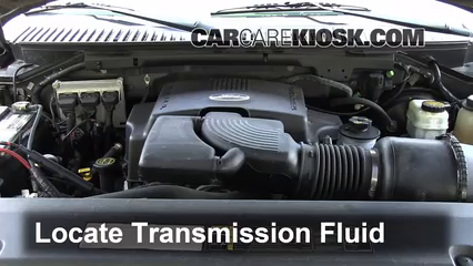 Transmission Fluid Level Check 2004 Ford Expedition XLT 5.4L V8
