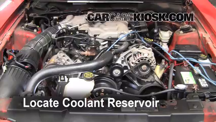 2004 Ford Mustang 3.9L V6 Coupe Coolant (Antifreeze)