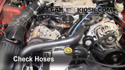 2004 Ford Mustang 3.9L V6 Coupe Hoses