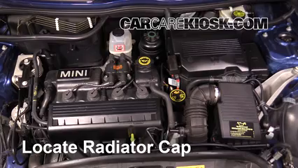 mini radiator cap