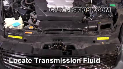 Transmission Fluid Level Check 2005 Infiniti G35 3.5L V6 Coupe (2 Door)