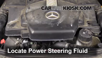 2006 Mercedes-Benz E500 5.0L V8 Power Steering Fluid