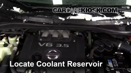 2007 Nissan Quest 3.5L V6 Antigel (Liquide de Refroidissement) Vérifiez le niveau d'antigel