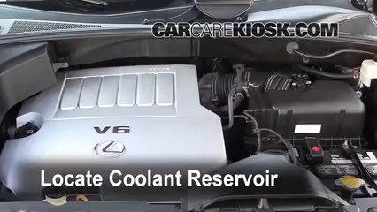 How to Add Coolant: 2008 Lexus RX350 3.5L V6