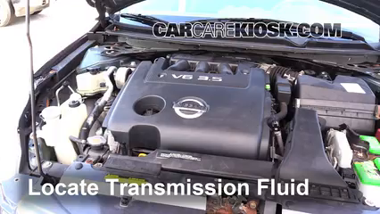 2008 Nissan Altima SE 3.5L V6 Coupe (2 Door) Liquide de transmission Vérifier le niveau de liquide