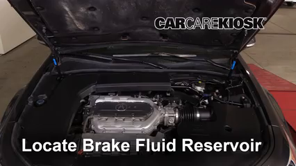 Check Oil Level 2010 Acura TL SH-AWD 3.7L V6