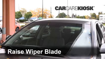 2010 Hyundai Sonata GLS 2.4L 4 Cyl. Windshield Wiper Blade (Front) Replace Wiper Blades