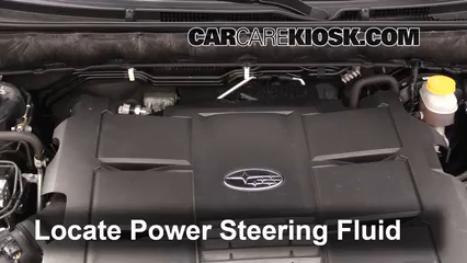 2010 Subaru Legacy 3.6R Limited 3.6L 6 Cyl. Power Steering Fluid Add Fluid