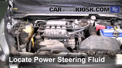 2011 Chevrolet Beat Campus 1.0L 4 Cyl. Power Steering Fluid
