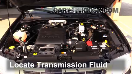 Oil & Filter Change 2011 Ford Escape XLT 3.0L V6 FlexFuel