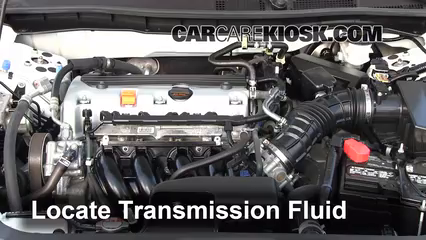 2011 Honda Accord LX 2.4L 4 Cyl. Transmission Fluid