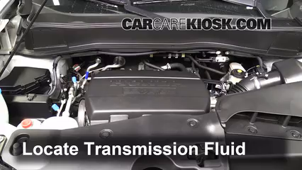 2005 Honda Pilot Transmission Fluid Capacitynull