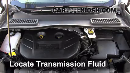 2013 Ford Escape SEL 2.0L 4 Cyl. Turbo Liquide de transmission Vérifier le niveau de liquide