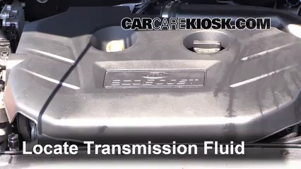2013 Ford Fusion SE 2.0L 4 Cyl. Turbo Transmission Fluid Check Fluid Level