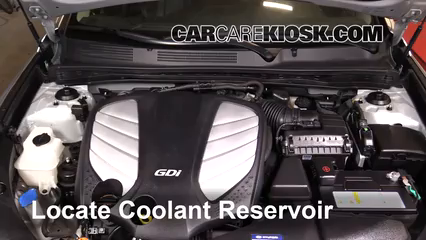 How to Add Coolant: 2014 Hyundai Azera Limited 3.3L V6