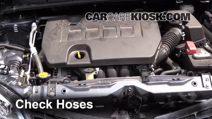 2014 Toyota Corolla S 1.8L 4 Cyl. Hoses Check Hoses