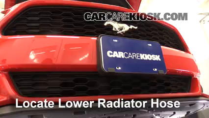 Coolant Flush How-to: Ford Mustang (2015-2019) - 2015 Ford Mustang