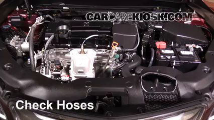 2015 Acura TLX 2.4L 4 Cyl. Hoses Check Hoses