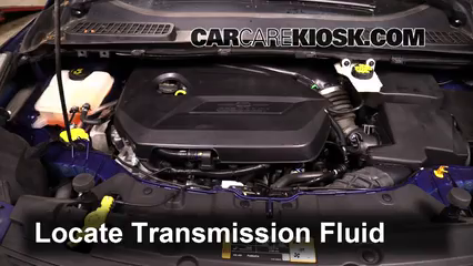 Transmission Fluid Level Check 2015 Ford Escape SE 1.6L 4 Cyl. Turbo