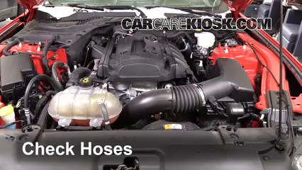 Coolant Level Check on a 2015 Ford Mustang EcoBoost 2.3L 4 Cyl. Turbo