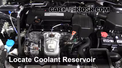 2015 Honda Accord EX-L 2.4L 4 Cyl. Coupe Coolant (Antifreeze)
