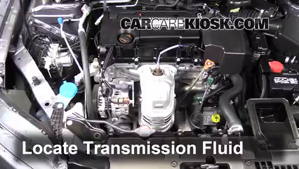 2015 Honda Accord EX-L 2.4L 4 Cyl. Coupe Transmission Fluid