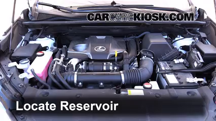New Washer Fluid Reservoir Filler Pipe For Lexus NX300h 2015-2019 LX1289104 