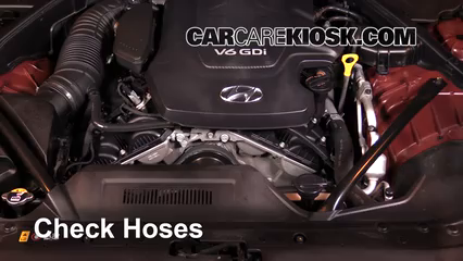 2016 Hyundai Genesis 3.8 3.8L V6 Hoses