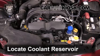 2016 Subaru Outback 2.5i Premium 2.5L 4 Cyl. Coolant (Antifreeze) Add Coolant