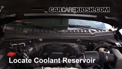 2017 Ford F-150 Raptor 3.5L V6 Turbo Crew Cab Pickup Coolant (Antifreeze)
