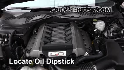 2017 Ford Mustang GT 5.0L V8 Fluid Leaks