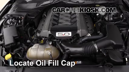 Oil & Filter Change 2017 Ford Mustang GT 5.0L V8