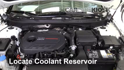 2017 Hyundai Sonata Sport 2.0T 2.0L 4 Cyl. Turbo Coolant (Antifreeze) Fix Leaks