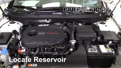 2017 Hyundai Sonata Sport 2.0T 2.0L 4 Cyl. Turbo Líquido limpiaparabrisas Agregar líquido