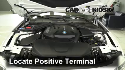 How to Add Coolant: 2018 BMW 330i xDrive 2.0L 4 Cyl. Turbo Wagon