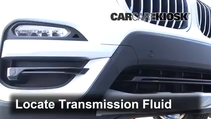 How to Check Brake Fluid Level: 2018 BMW X3 xDrive30i 2.0L 4 Cyl. Turbo