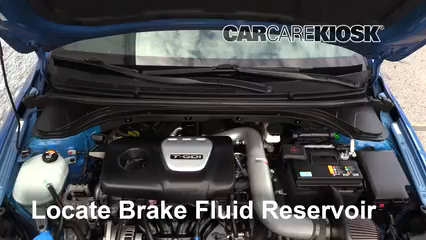 2018 Hyundai Elantra Sport 1.6L 4 Cyl. Turbo Brake Fluid
