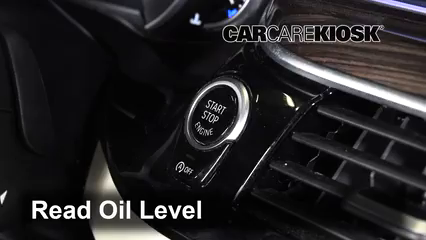 Oil & Filter Change 2019 BMW 530i 2.0L 4 Cyl. Turbo