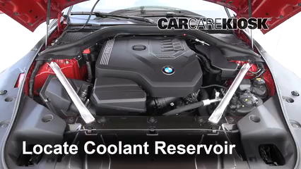 2019 BMW Z4 sDrive30i 2.0L 4 Cyl. Turbo Refrigerante (anticongelante) Sellar pérdidas