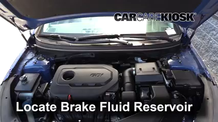 2019 Hyundai Sonata Sport 2.4L 4 Cyl. Brake Fluid Check Fluid Level