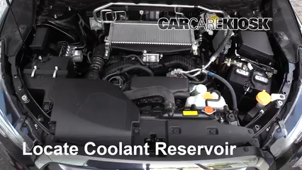 2019 Subaru Ascent Premium 2.4L 4 Cyl. Turbo Coolant (Antifreeze) Flush Coolant