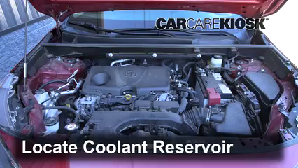 2019 Toyota RAV4 LE 2.5L 4 Cyl. Coolant (Antifreeze) Add Coolant