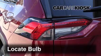 2019 Toyota RAV4 LE 2.5L 4 Cyl. Lights Reverse Light (replace bulb)