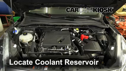 2020 Ford Escape SE 1.5L 3 Cyl. Turbo Refrigerante (anticongelante) Controlar nivel de líquido