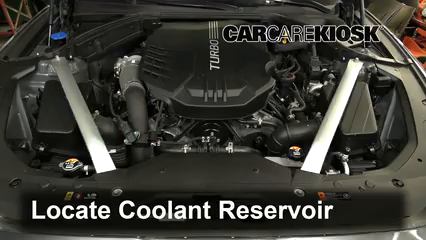 2020 Genesis G70 3.3L V6 Turbo Coolant (Antifreeze) Check Coolant Level