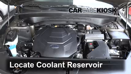 2020 Kia Telluride EX 3.8L V6 Refrigerante (anticongelante) Controlar nivel de líquido