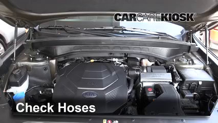 Check Oil Level 2020 Kia Telluride EX 3.8L V6
